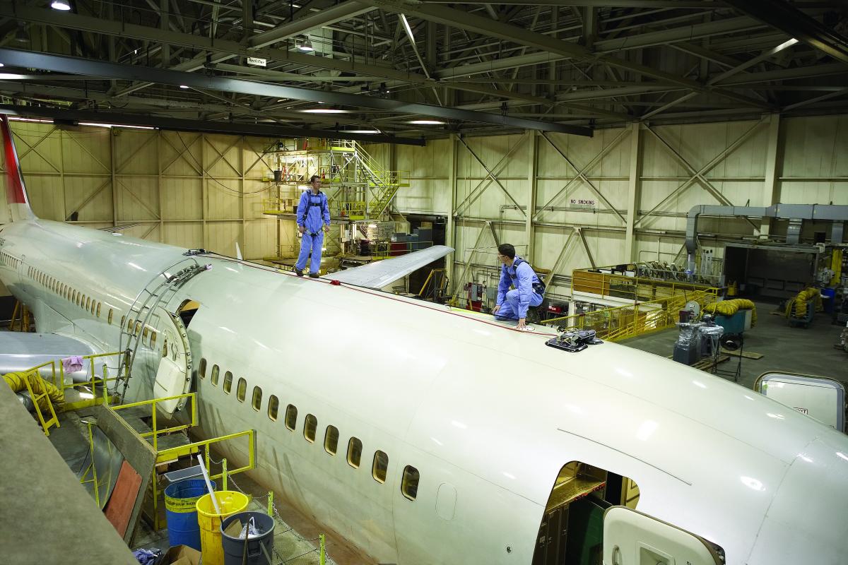 Aircraft Detail and Maintenance Fall Protection Systems 