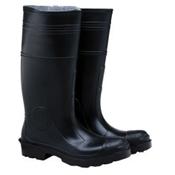 Protective Footwear, Shoes, Boots and Accessories